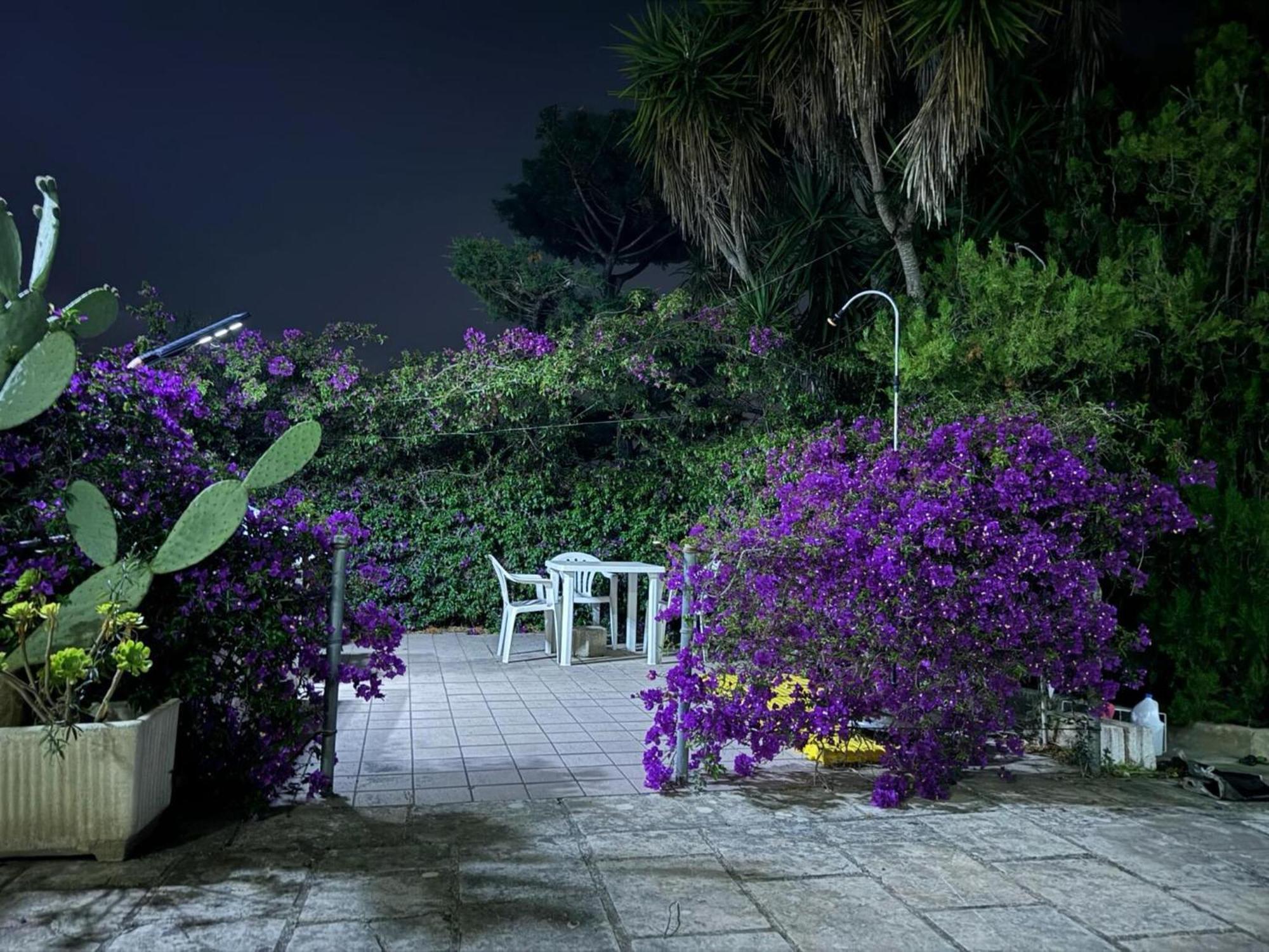 Villa Torretta - Mare Salento Марина-ди-Лиццано Экстерьер фото