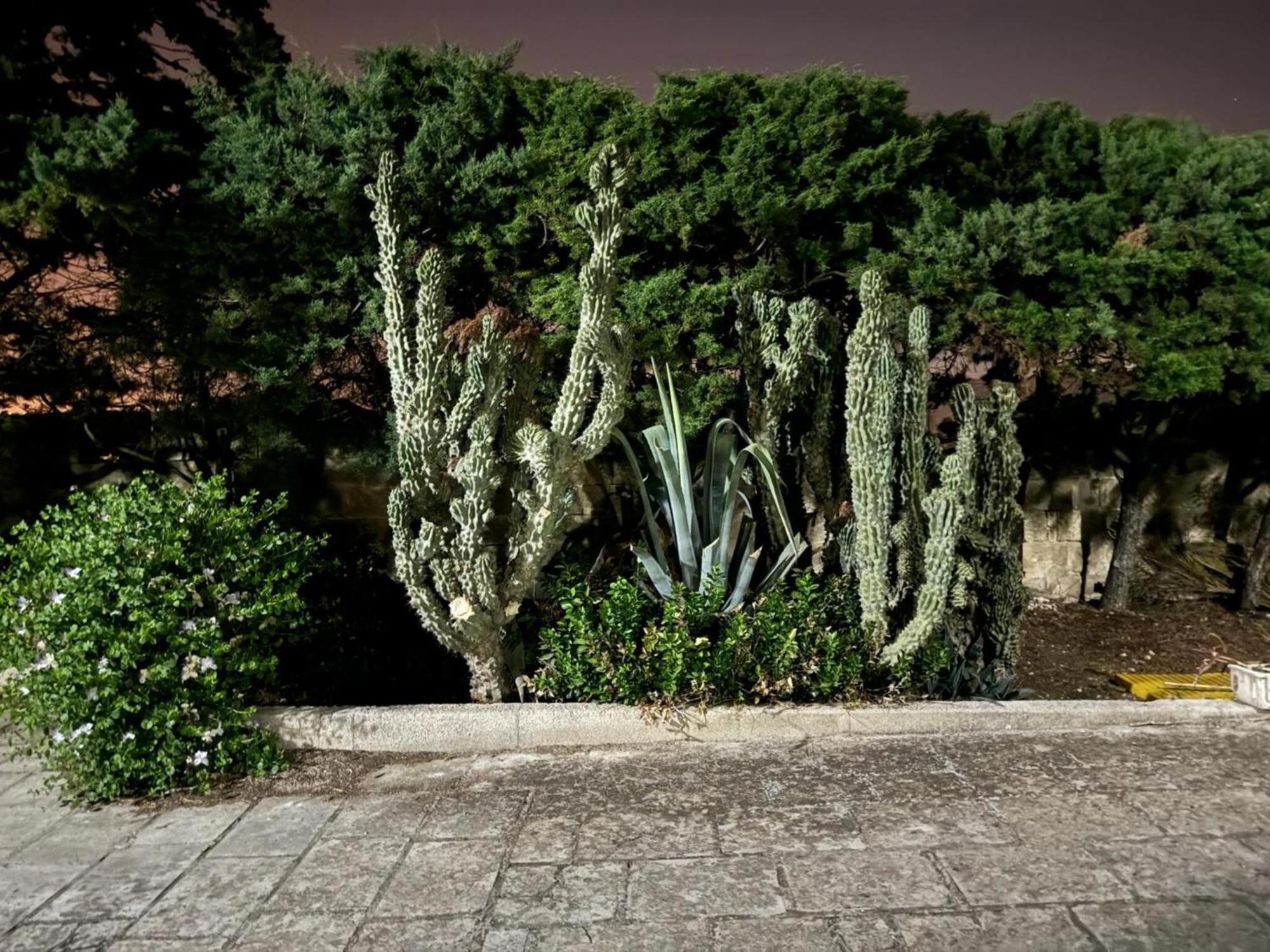 Villa Torretta - Mare Salento Марина-ди-Лиццано Экстерьер фото